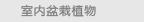 ҃(ni)ֲ
