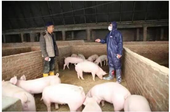 數(shù)字人民幣應(yīng)用保險(xiǎn)+期貨.jpg 數(shù)字人民幣應(yīng)用保險(xiǎn)+期貨.jpg